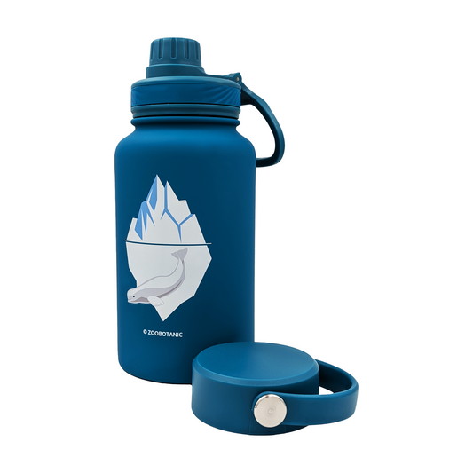 Beluga Whale Z05 Insulated Water Bottle